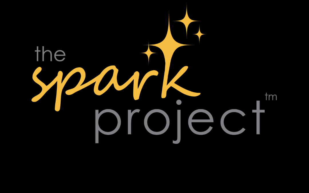 Announcement – Partnership with Spark Project